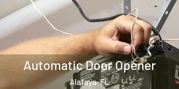  Automatic Door Opener Alafaya-FL