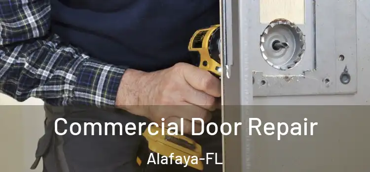 Commercial Door Repair Alafaya-FL