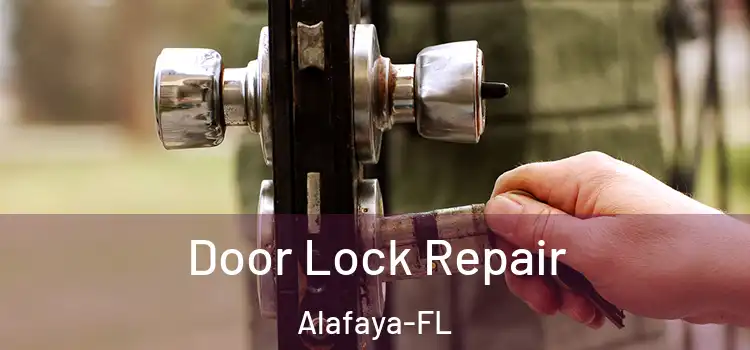  Door Lock Repair Alafaya-FL
