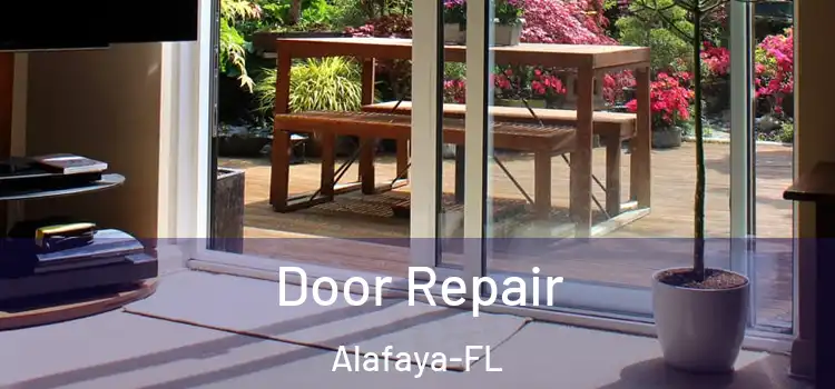  Door Repair Alafaya-FL