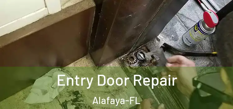 Entry Door Repair Alafaya-FL
