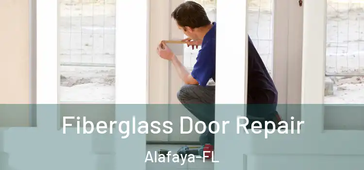  Fiberglass Door Repair Alafaya-FL