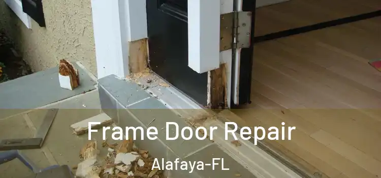  Frame Door Repair Alafaya-FL
