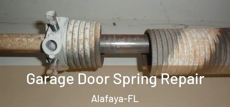  Garage Door Spring Repair Alafaya-FL