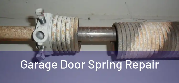  Garage Door Spring Repair 