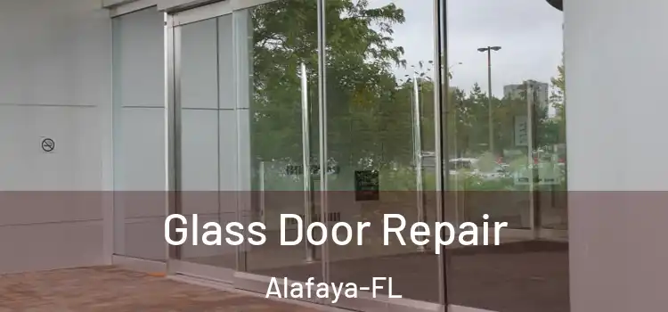  Glass Door Repair Alafaya-FL