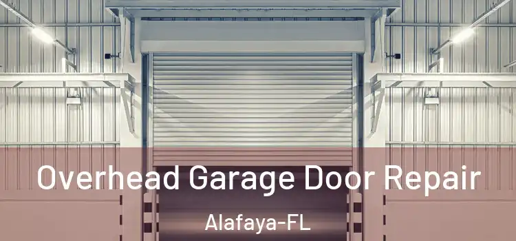  Overhead Garage Door Repair Alafaya-FL