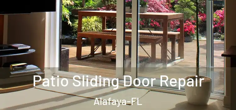  Patio Sliding Door Repair Alafaya-FL