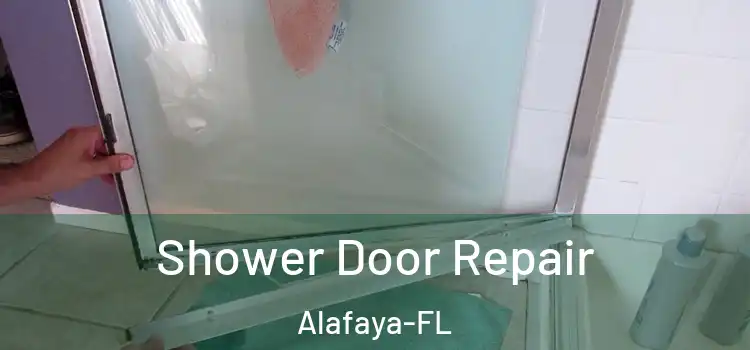  Shower Door Repair Alafaya-FL