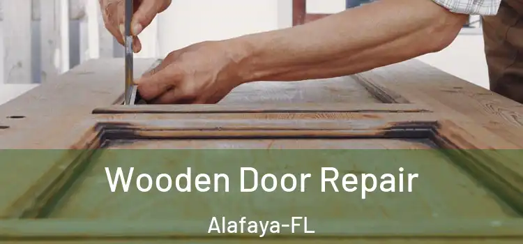 Wooden Door Repair Alafaya-FL
